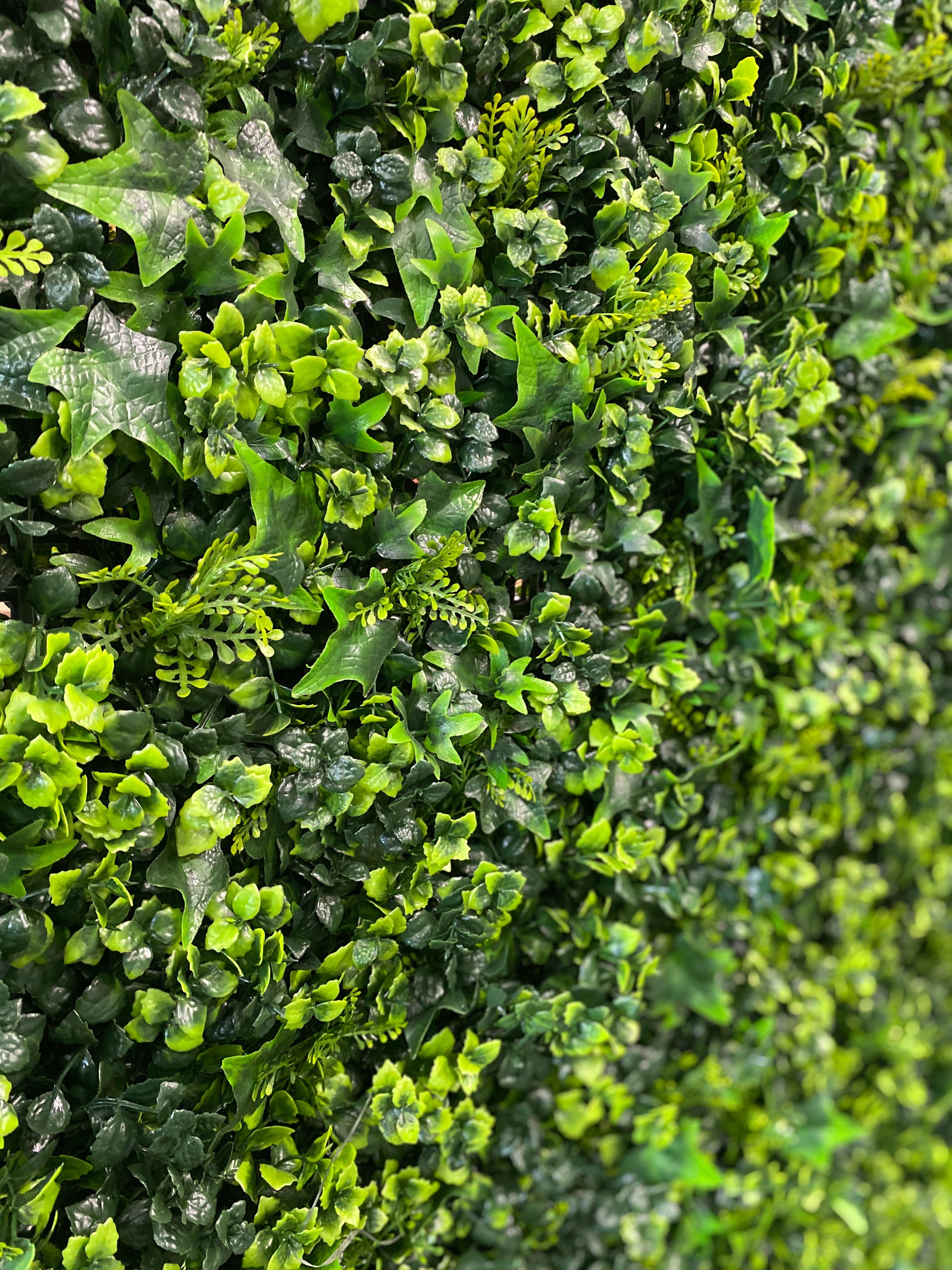garden wall